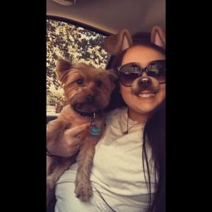 Meet your Posher, Casey